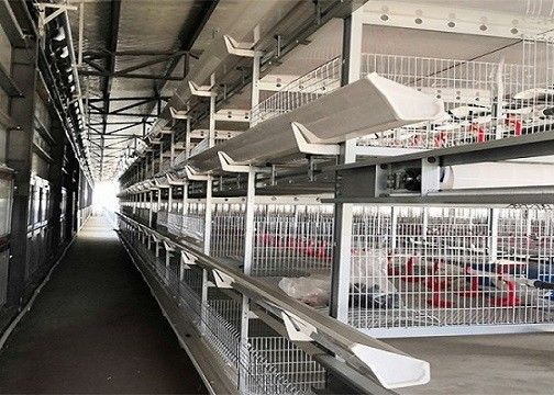 OEM/ODMの鉄骨構造の農場の家禽の層のプレハブのニワトリ小屋