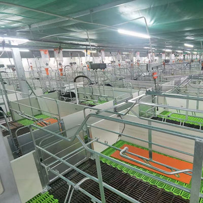 軽量の鉄骨構造の豚舎はプレハブの農業の建物に電流を通した