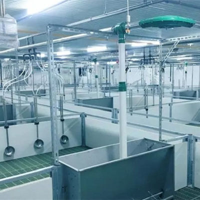 軽量の鉄骨構造の豚舎はプレハブの農業の建物に電流を通した