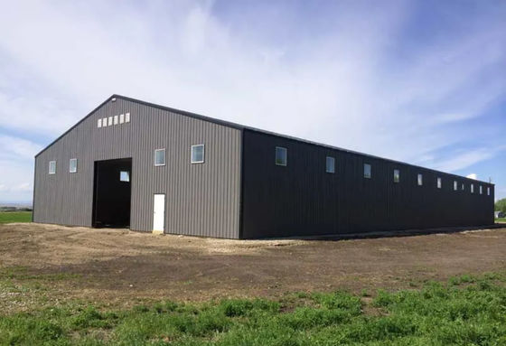 軽いプレハブの倉庫の鉄骨構造の防風の金属の研修会の建物