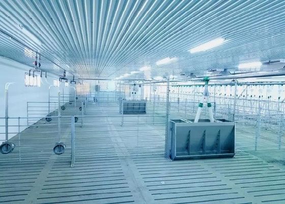 防風の鉄骨構造の豚舎の入口は鉄骨フレームISO9001を組立て式に作った