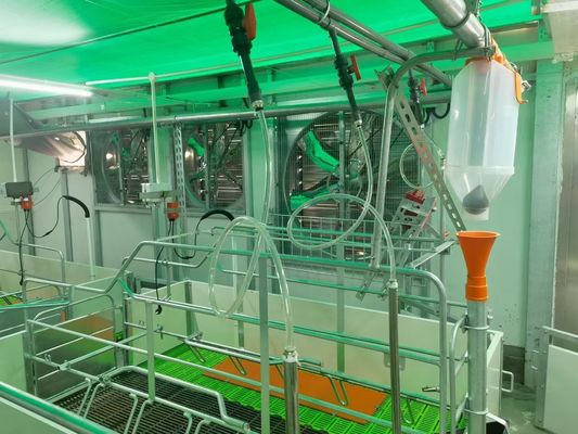 防風の鉄骨構造の豚舎の入口は鉄骨フレームISO9001を組立て式に作った