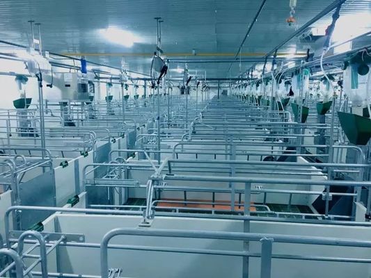OEM/ODMの鉄骨構造の豚舎の耐火性のプレハブの農家