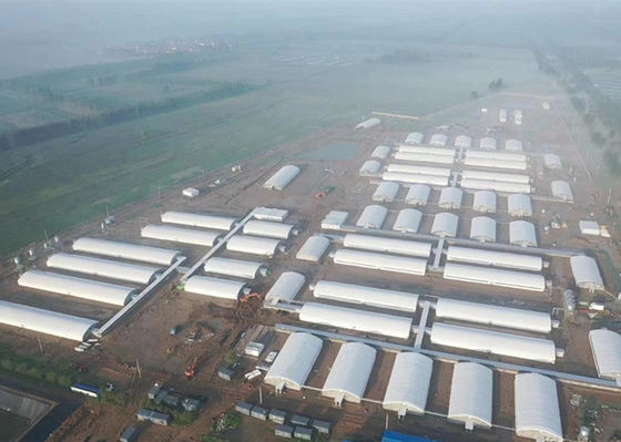 Q355 / Q235鉄骨構造の豚舎は産業鋼鉄建物を耐火性にする