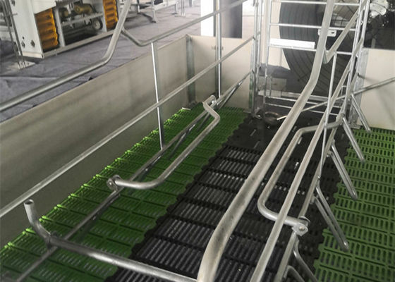 製造されたプレハブの鉄骨構造の豚舎は産業に電流を通した
