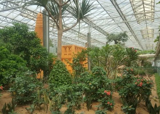 大きな観賞用の花のための緑の植物の庭の強化ガラスの温室