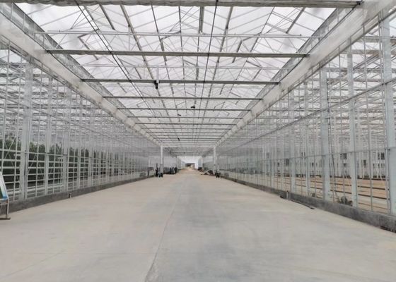 大きな観賞用の花のための緑の植物の庭の強化ガラスの温室