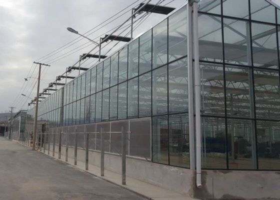 高い等級の電流を通された管の温室のガラス カバーのコマーシャル
