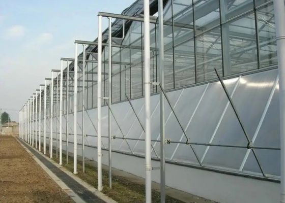 高い等級の電流を通された管の温室のガラス カバーのコマーシャル