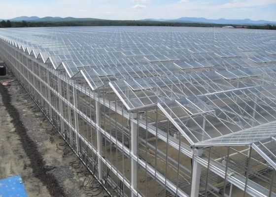 高い等級の電流を通された管の温室のガラス カバーのコマーシャル