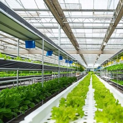 野菜耕作Soilless文化ガラス温室の多層に植わること