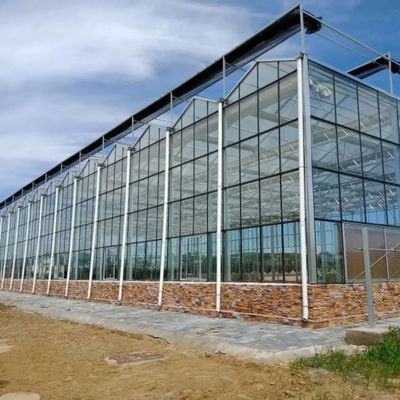 野菜耕作Soilless文化ガラス温室の多層に植わること