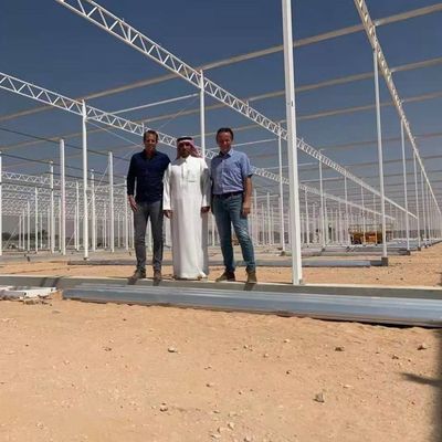 野菜耕作Soilless文化ガラス温室の多層に植わること