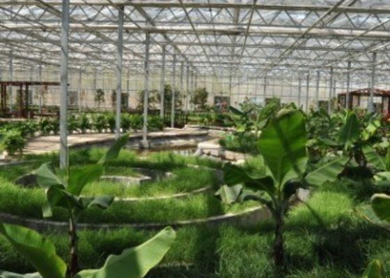電流を通された管の観光の温室のレストランの習慣は4600㎡を形づけた