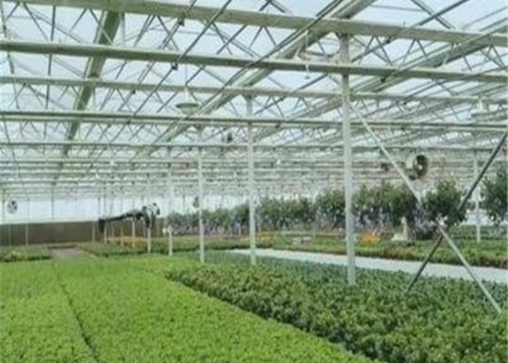 注文の定形ガラス実生植物の温室/養樹園のベッドの育成/移動可能なSeedbed