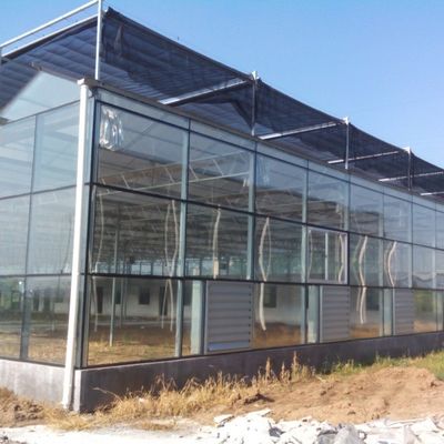 トマト/黄瓜のための高出産野菜のガラス種植温室