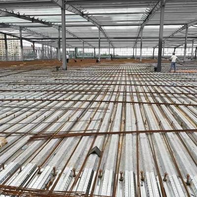 倉庫の研修会の建物の貯蔵のためのQ355Bの鉄骨構造
