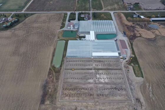 文洛観光ガラス温室 - 大規模野菜栽培温室