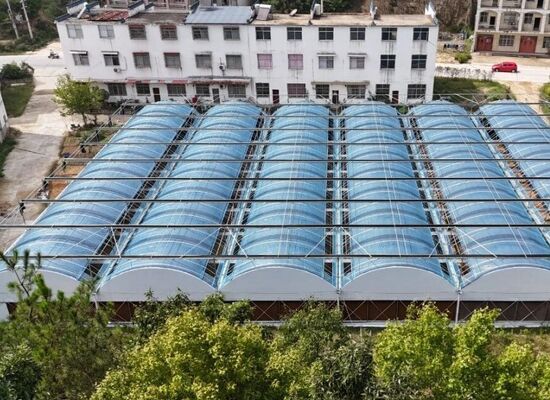 野菜の収穫を増やし,野菜の熟成プロセスを加速するために使用される連続スパンポリエチレンフィルム温室