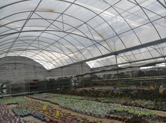 野菜の収穫を増やし,野菜の熟成プロセスを加速するために使用される連続スパンポリエチレンフィルム温室