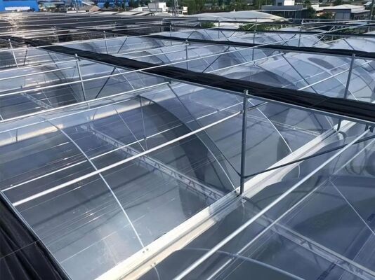 ウェンルー観光ガラス温室 - 大規模な果物栽培温室